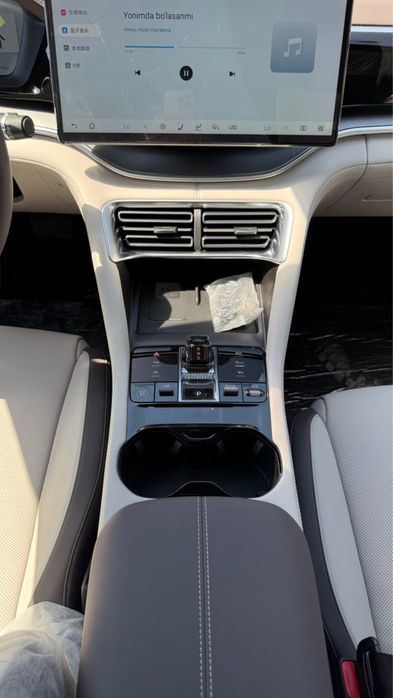 BYD Champion song plus