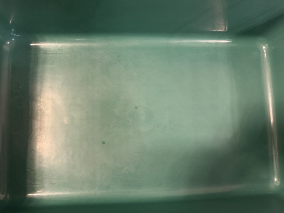 Клетка за морско свинче