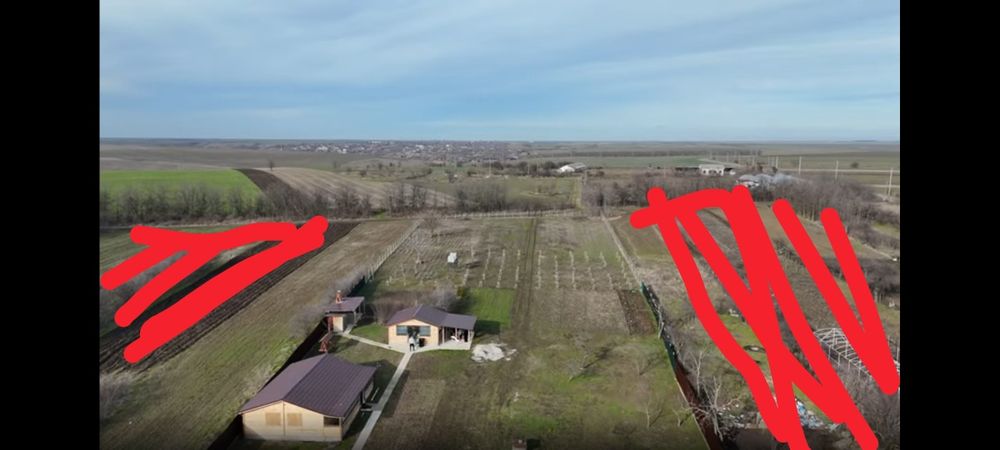 Oferta! Vând domeniu unicat (1 Ha) cu casă și livadă – Drăghiceanu, Giurgiu | Opțiuni parcelate la asfalt