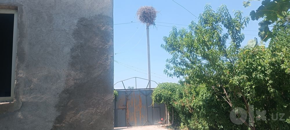 Дача таёйор яшашага таййор