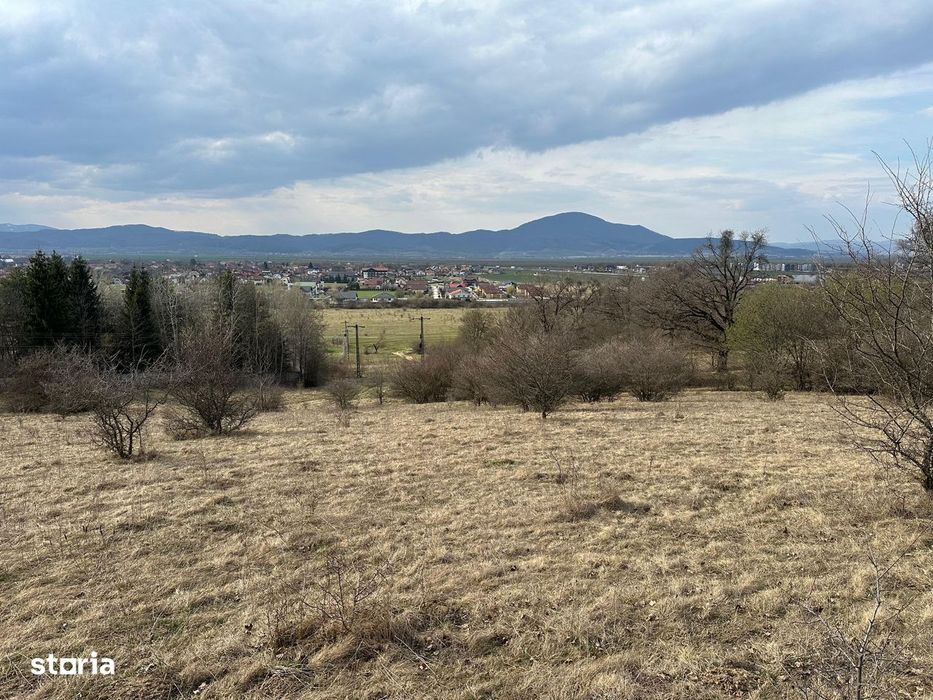 Teren extravilan pășune 6.000 mp – Cristian, Brașov