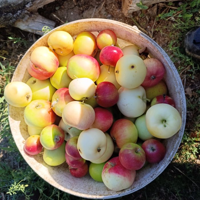 Проддам дачу с/о Химик