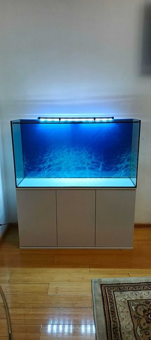Akvariumlar sotiladi, bizda arzon va sifat
