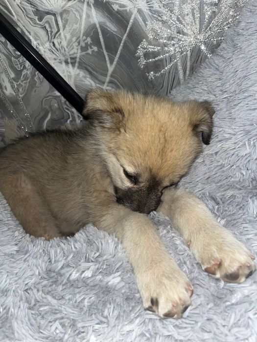 Мальчишка ищет семью!