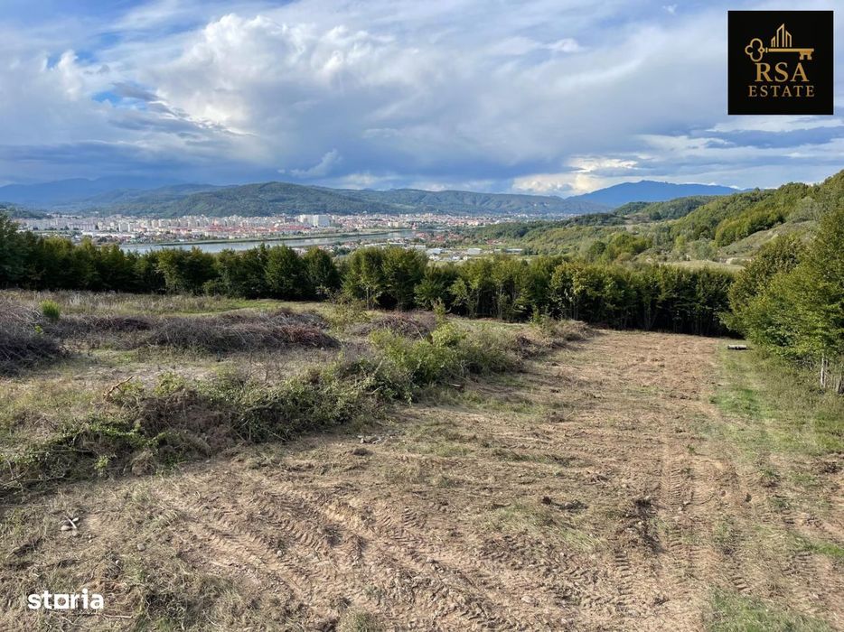 Teren 3000 mp de vanzare Budesti Racovita Valcea, panorama spectaculoa