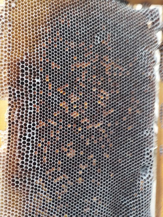 Рамки,сушь  б/у для пчеловодства