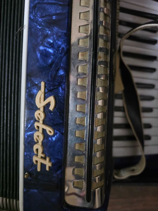 Acordeon romanesc Timis Select