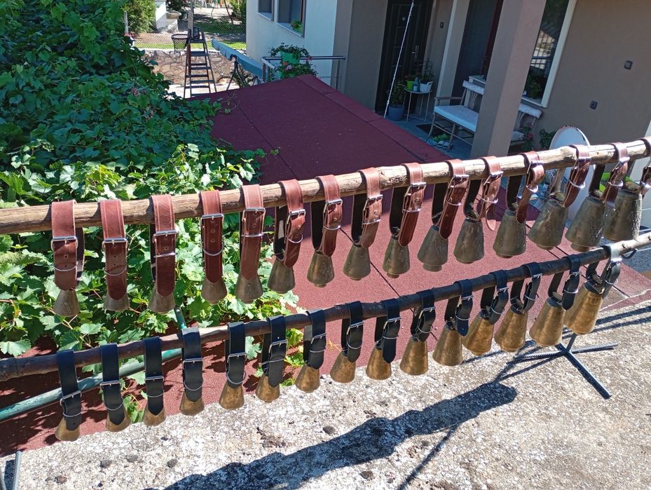 Чанове Звънци два модела