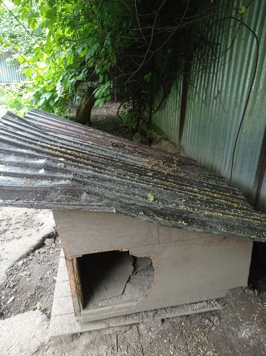 Продам собачью будку