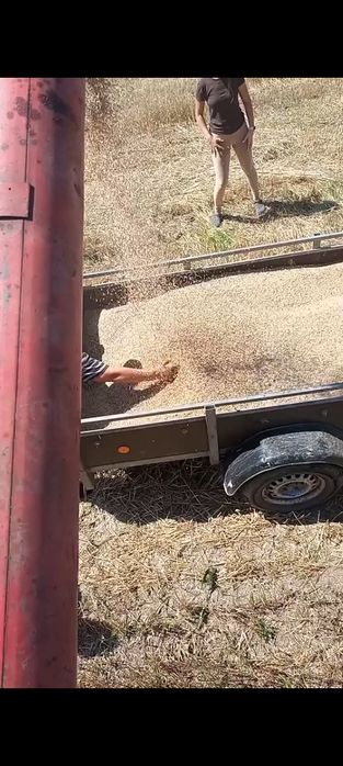 Vând Combaină Massey Ferguson