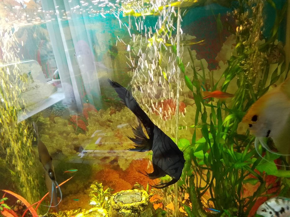 Аквариум 80/40 высота 70