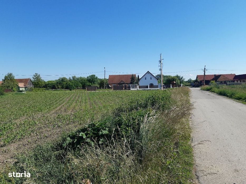 Teren intravilan construibil utilitati asfalt central Lunca Calnicului