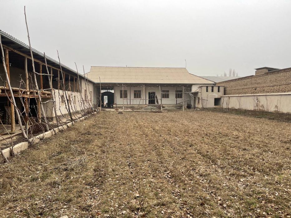 Арентр  Кушчи, парчайуз, 5 - Чи