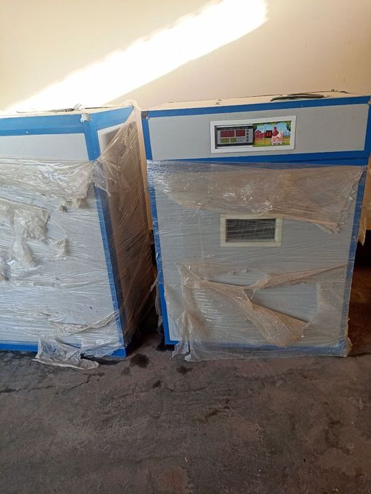 Инкубатор 1000шт