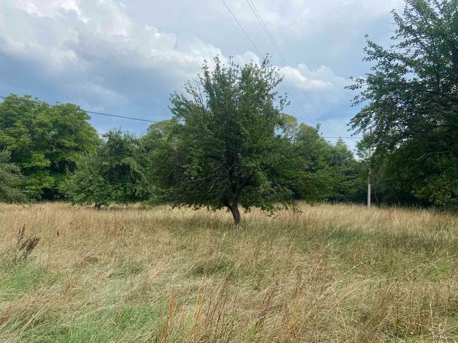 Продава се Парцел в Перник, Изток - 1515 кв.м за 9 €/кв.м - Снимка #5