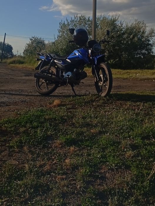 альфа спорт 125 кубов