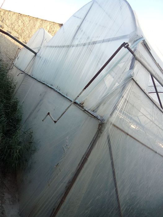 Parnik sotiladi, 5 sotix