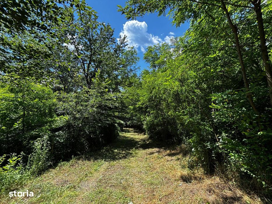 Teren Padure 6857 mp. intravilan Com Bujoreni-Valcea