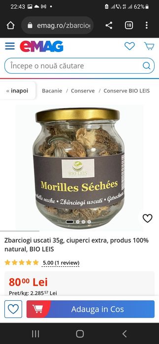 Ciuperci Zbarciogi Morchella Elata, Esculenta