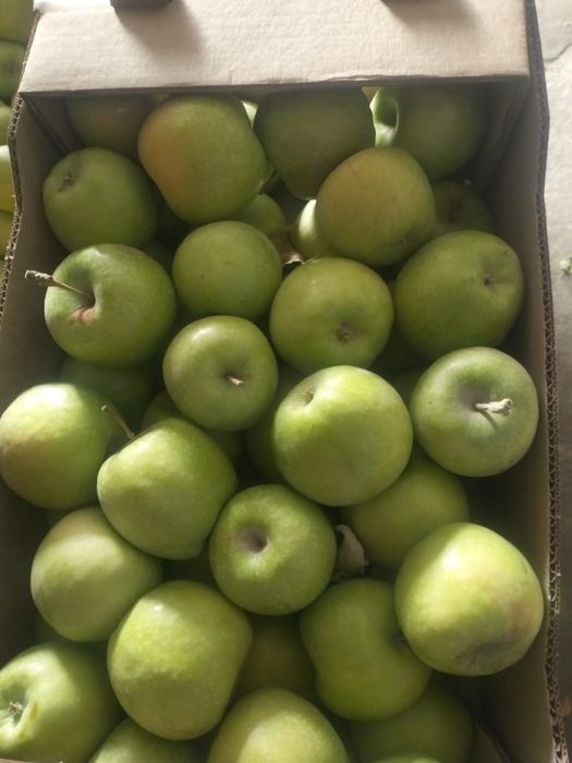 Яблоко свежее 1 сорт, урожай 2025г