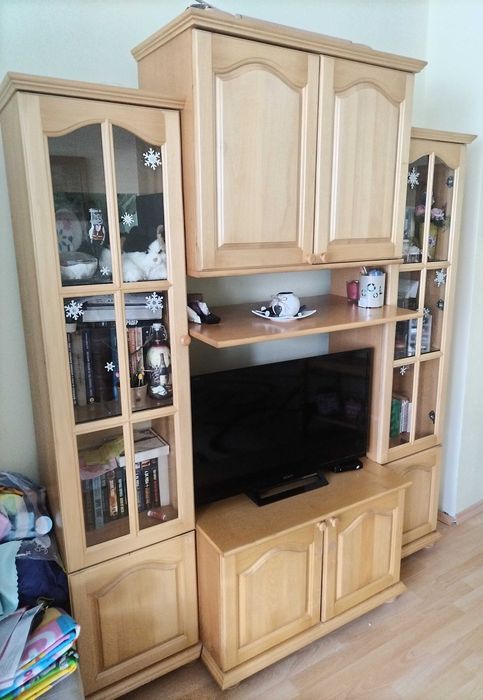 Масивна холна секция