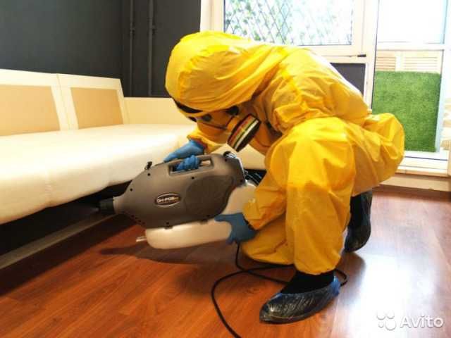 Клопы...за мной не надо переделовать   (опыт) Сергей