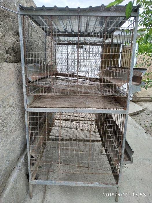 Паррандалар учун кафас...