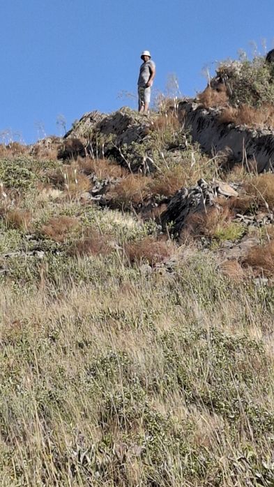 Поездка в горах из Ташкента