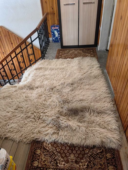 Родопски китеници