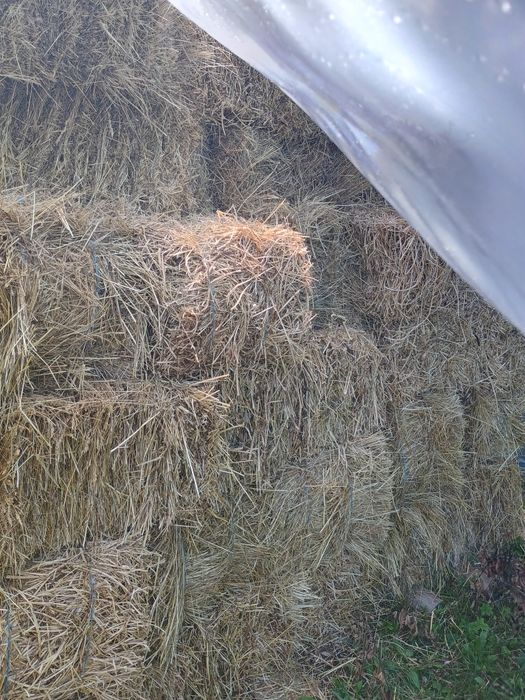 Baloți(trifoi,ghizdei și timotei)