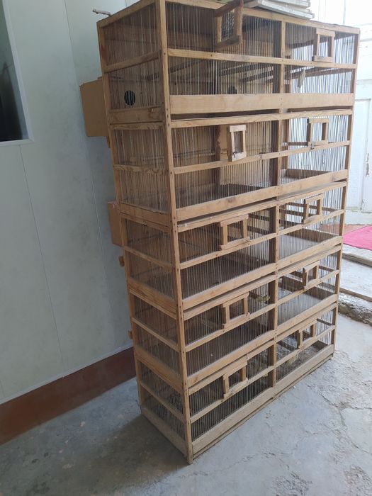 Papugay qafas sotiladi arzon qilamiz aniq olsangiz tel qiling