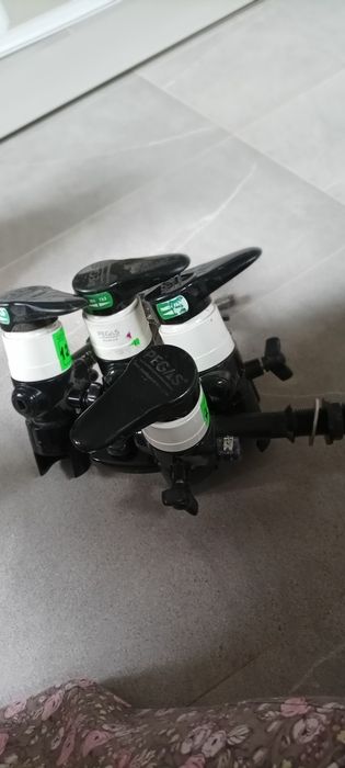 Пигасы пивные для