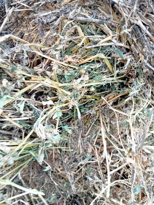 Baloți lucernă 120/150