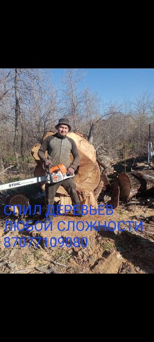 Спил деревьев обрезка плодовых