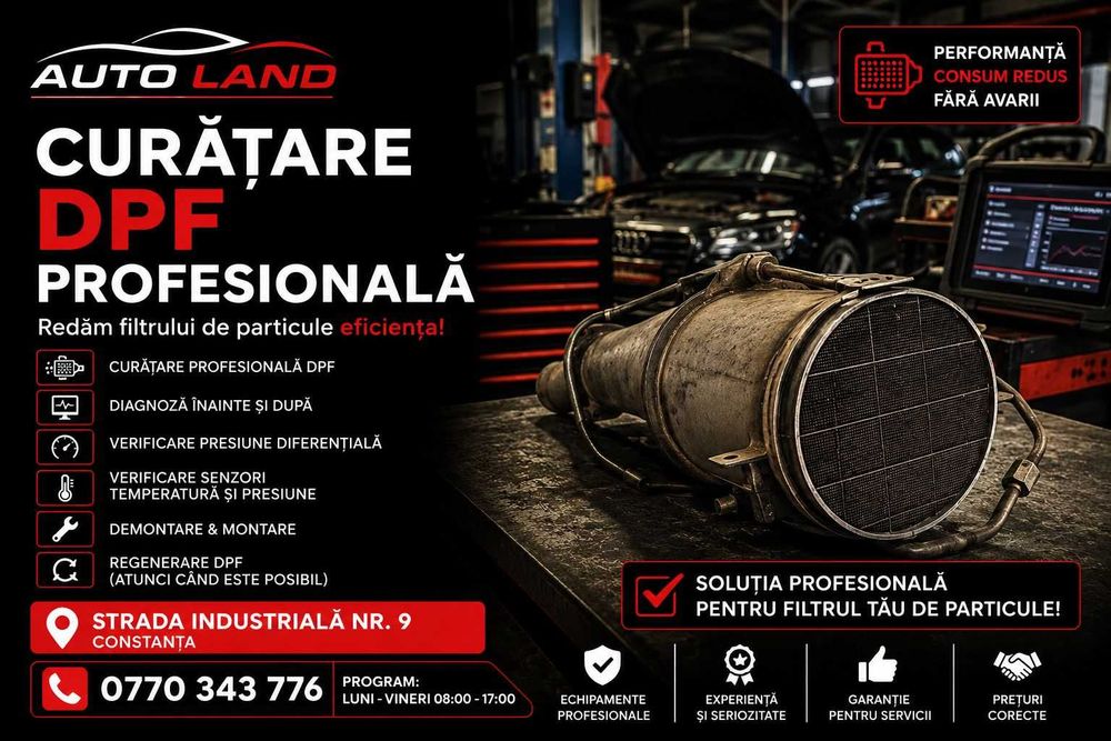 Curatare DPF Profesionala