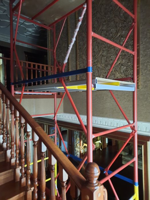 Самая Вышка, леса