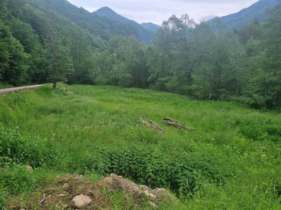 Teren Râul Mare Retezat