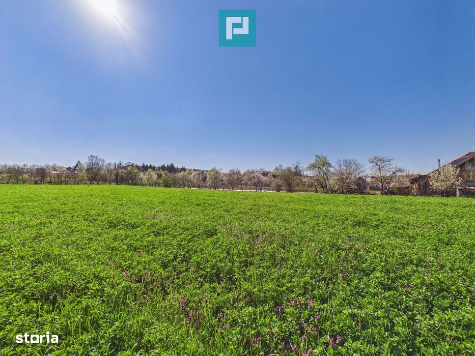 Teren intravilan 3024 mp, în comuna Almaș, Arad