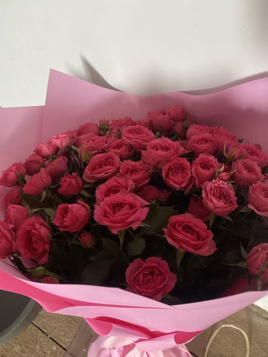 продам цветы свежие