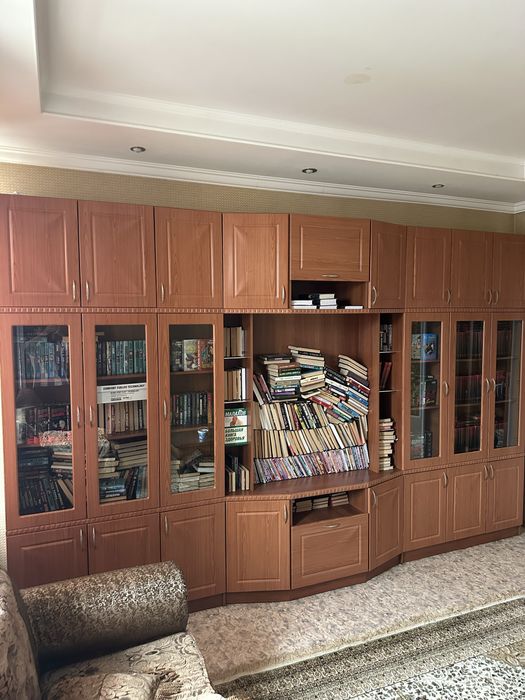 Продам мебель с книгами вместе