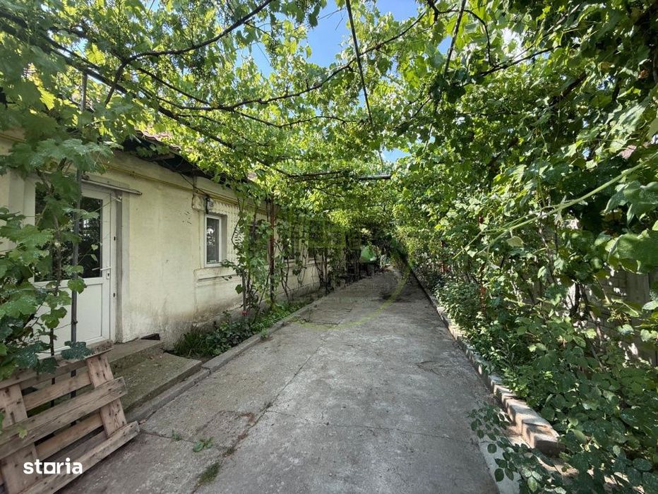 Casa plan parter, 462 mp, 100 mp utili, Brestei, zona Ambassador