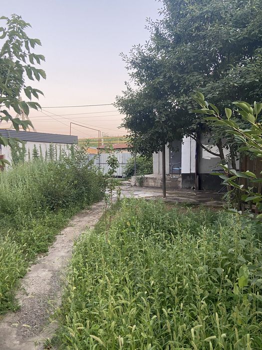 Сдам в аренду Дачу