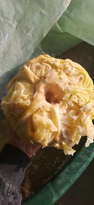 Vând varză murată !!!