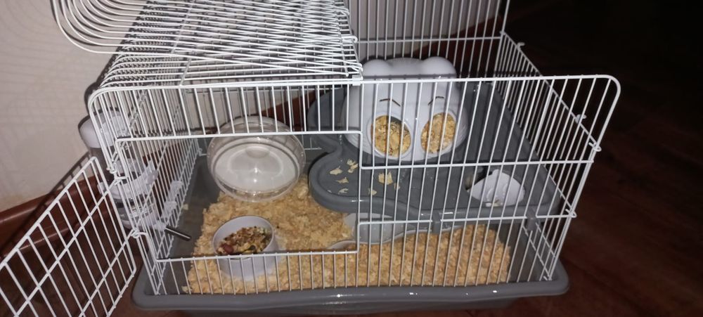 Хомяк 8000тг, вместе с клеткой