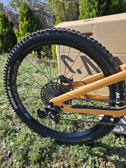 Canyon Spectral 5