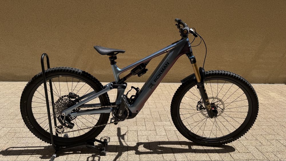 Specialised Turbo Levo Sworks
