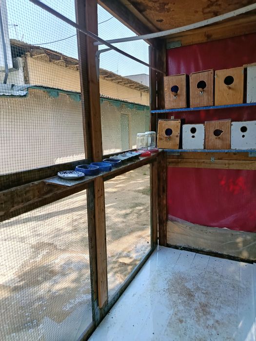 Попугай учун вольер тайер