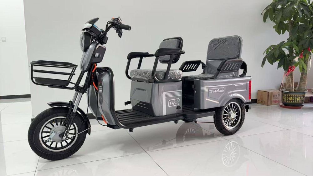 Электротрицикл муравейник