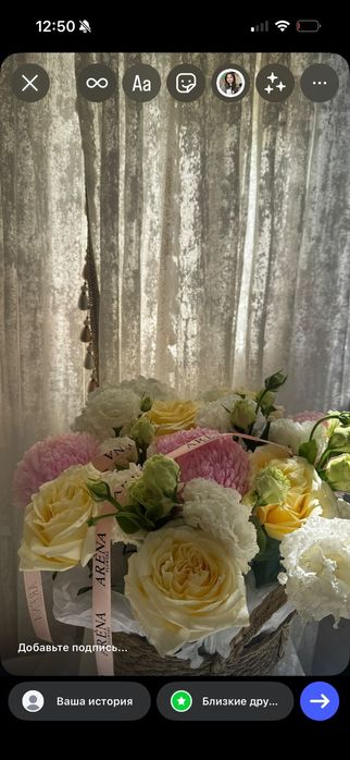 свежие красивые цветы