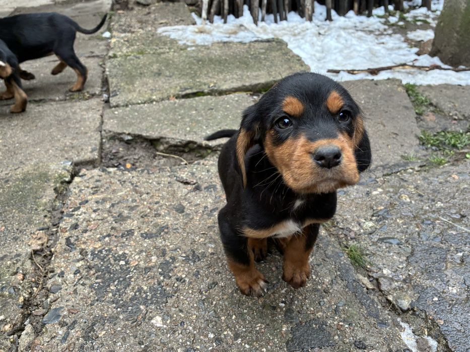 Бараци от работещи родители